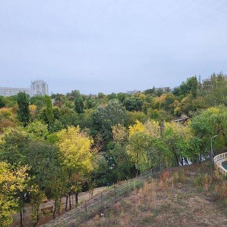 Green Tam - Nature Heaven - Private Parking บูคาเรสต์ ภายนอก รูปภาพ